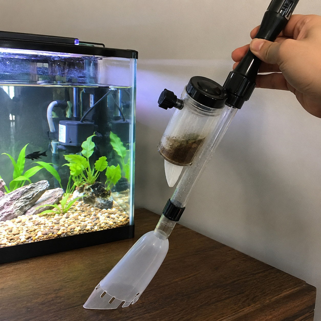 Customer spot cleaning aquarium gravel
