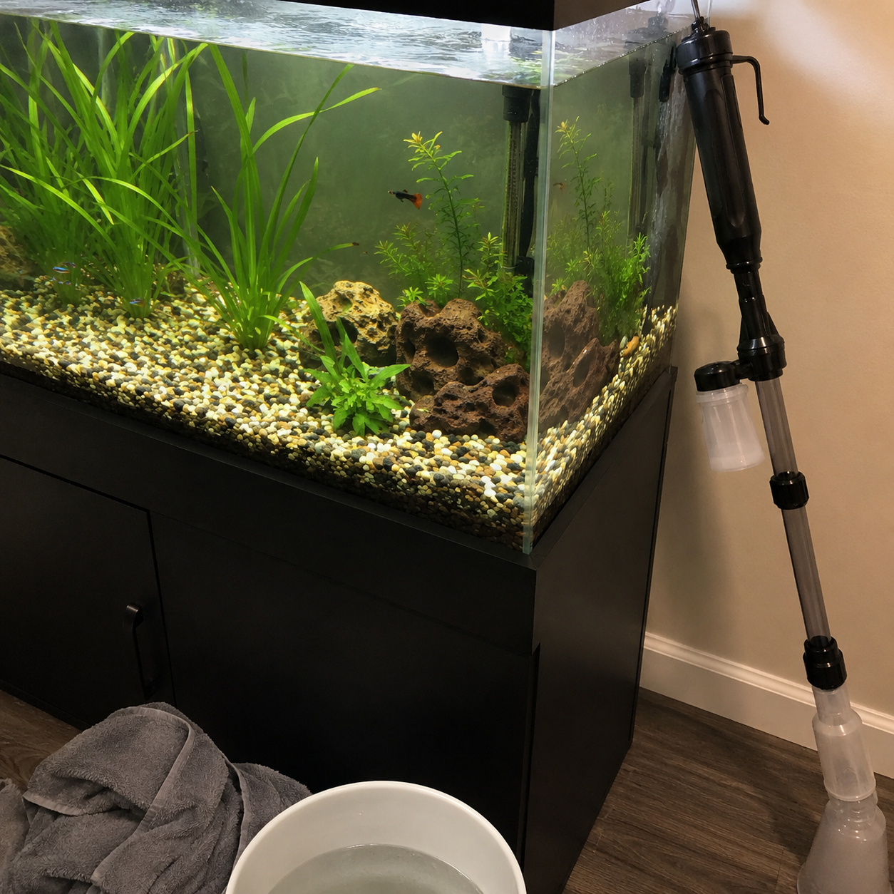 Aquarium gravel cleaner next to a fish tank