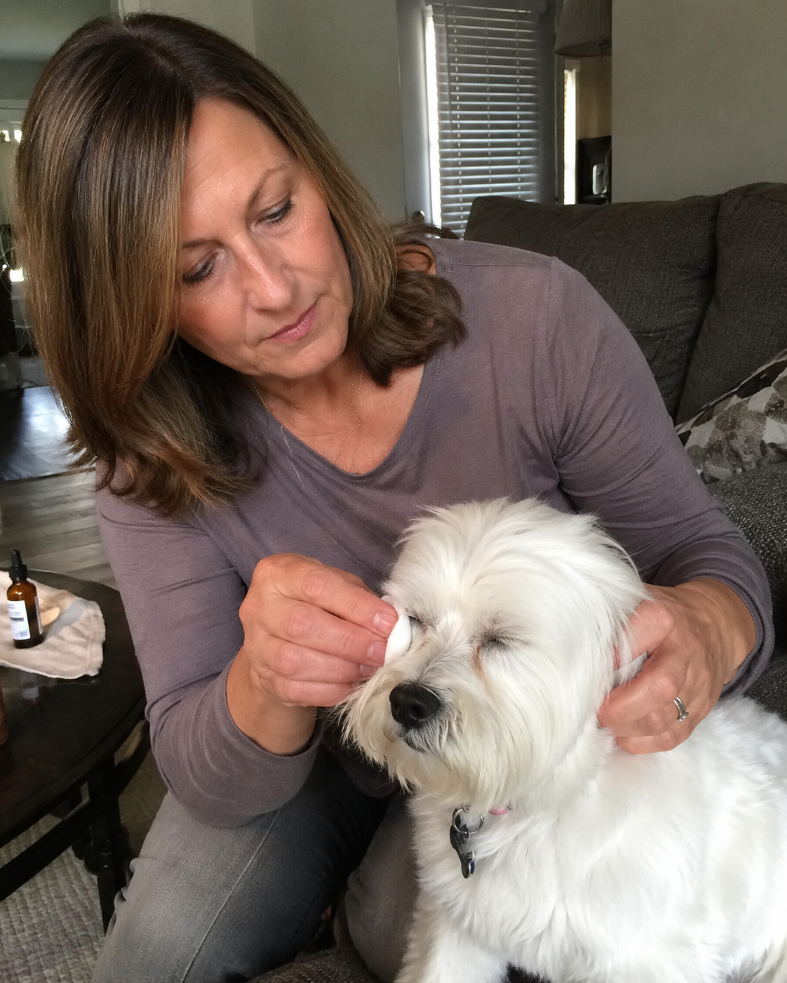 Customer gently cleaning a dog's eye area