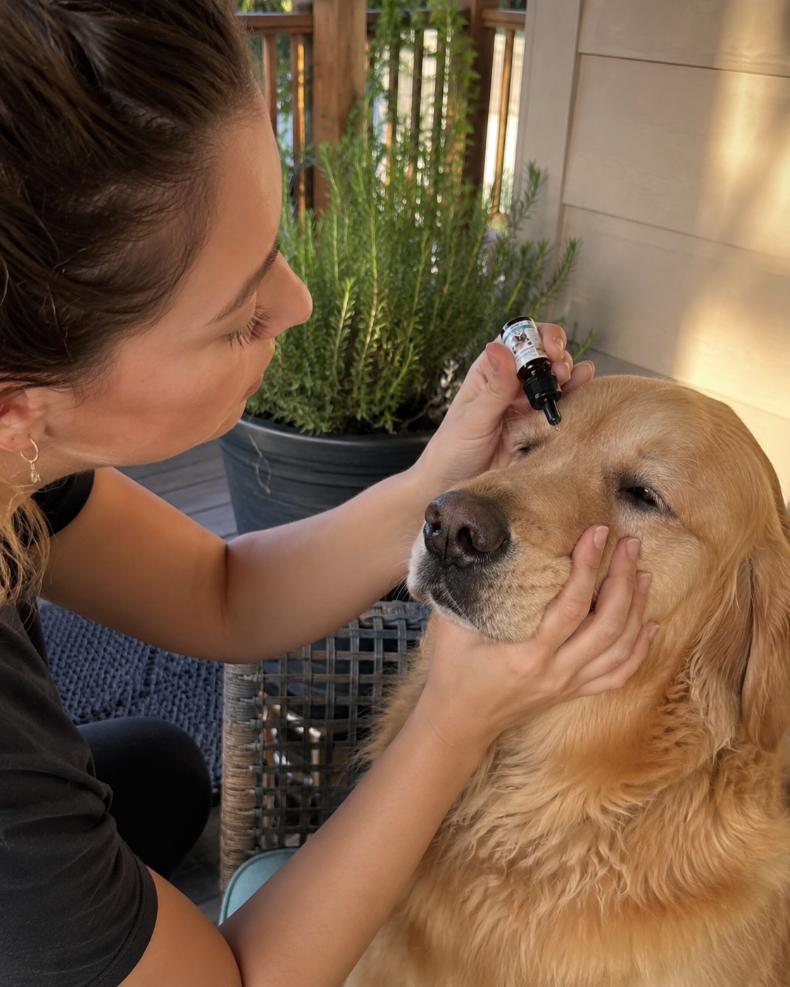 Customer caring for a dog's tear-stained eye area