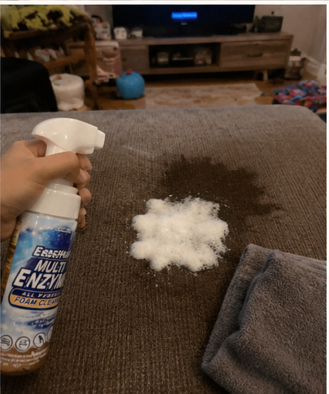 Customer cleaning a coffee stain from a sofa