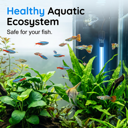 Hot Sale 50% OFF🔥 Plug. Submerge. Clear. UV Aquarium Sterilizer – 254nm, Quartz, 3-7 Days ✨
